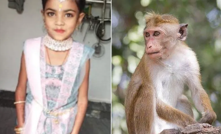 11Girl Ends Life In Medical Negligence