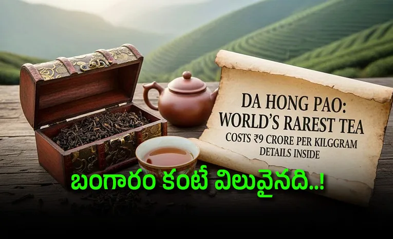 Worlds Most Expensive Tea That China Banned