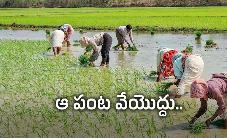 ఎల్‌నినో ఎఫెక్ట్‌: రైతులకు తెలంగాణ సర్కార్‌ హెచ్చరిక