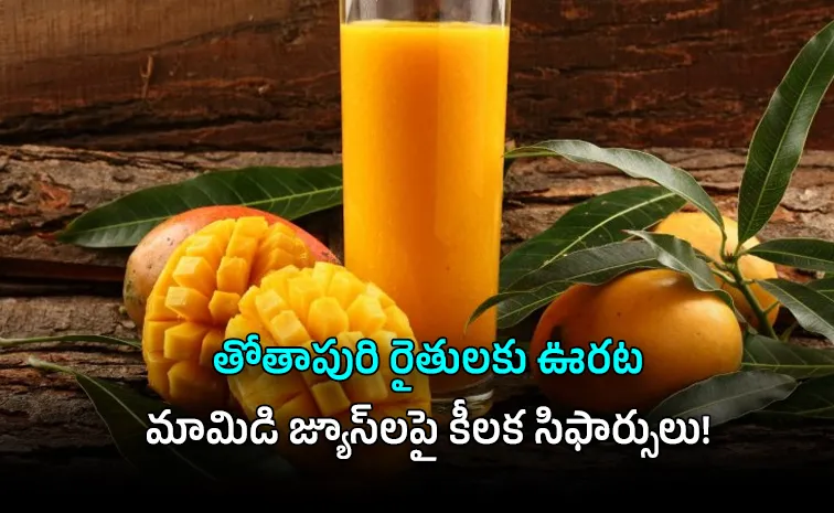GST Slash Pure Mango Juice Big Win for Farmers better Drinks for You