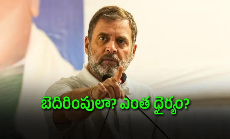 No Protest Advisory To Students How Dare You Rahul Gandhi Slams Universities