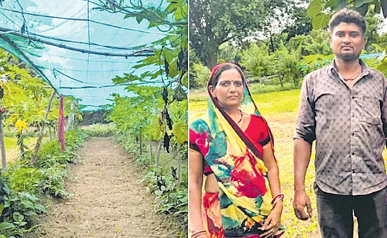 పావు ఎకరంలో.. ప్రకృతి విప్లవం!