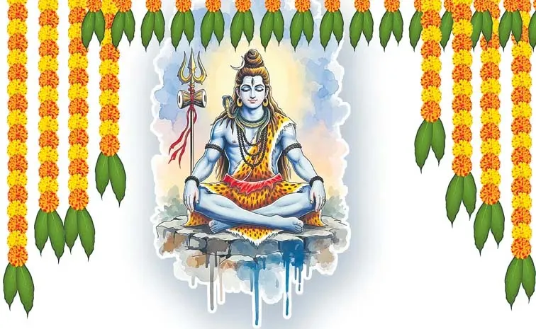 శంకరుల బాట..