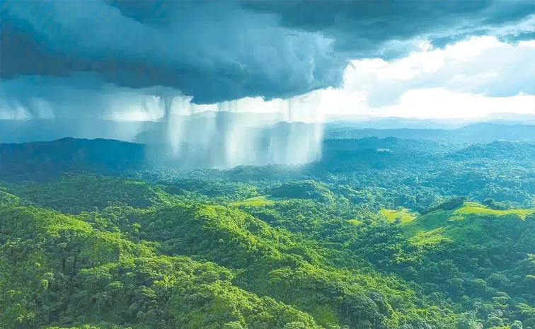 Monsoon Trip To The Mountain Regions Of Karnataka Kerala And Tamil Nadu