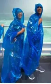  Indian woman in US fulfils dream of taking parents to Niagara Falls
