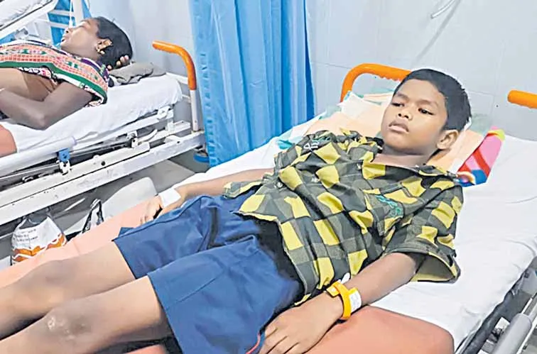 A student was bitten by a snake at an ashram school