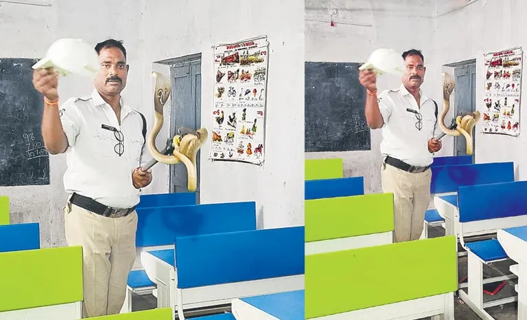 తరగతి గదిలో నాగుపాము 
