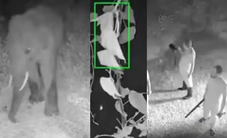 ఏనుగుల గుంపును అడ్డుకున్న ఏఐ'.. వైరల్‌ వీడియో