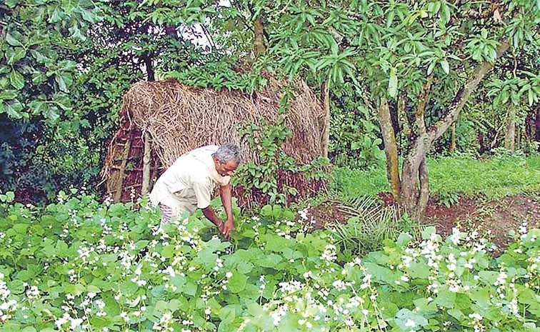 రైతు కాళ్ల కిందే కర్మాగారం