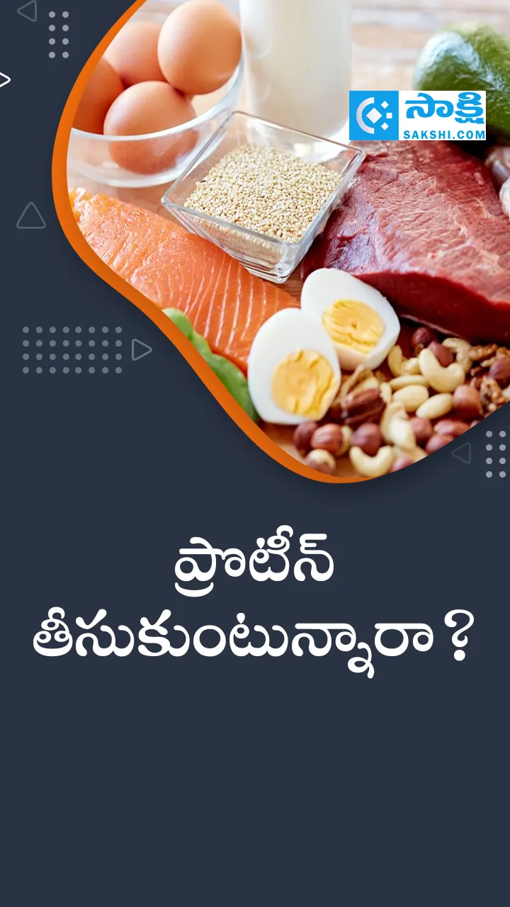 High Protein Foods for Daily Diet