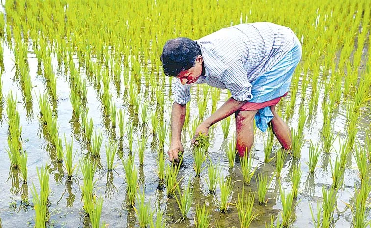ఏం పండించాలో ప్రభుత్వమే  చెప్పాలా?