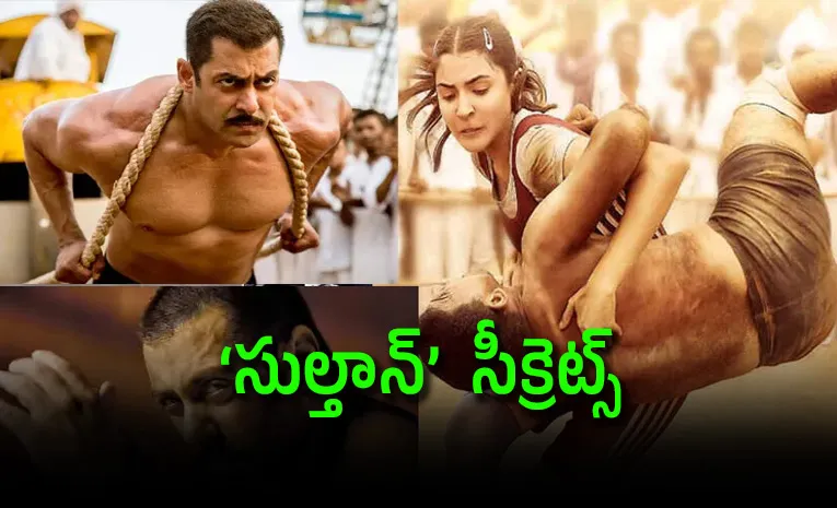 10 Years of Sultan Unheard Secrets of Salman Khan's Blockbuster