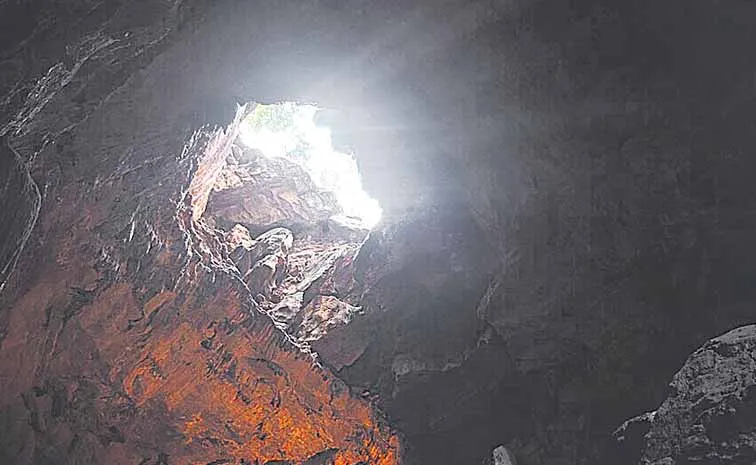 Microorganisms that grow in natural caves