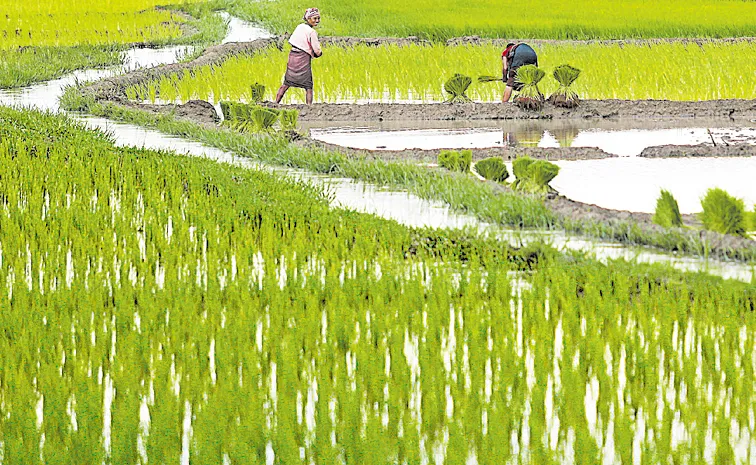 Measures for the implementation of PMFBY during the Kharif season