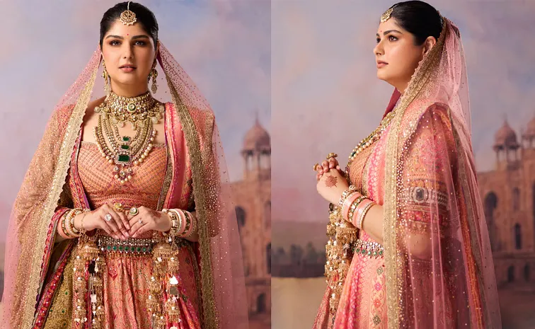 Anshula Kapoor Mom 42 YearOld Zardozi Dupatta Along With Her lovely Lehenga
