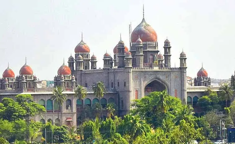 Delays in resolving public applications burden the courts