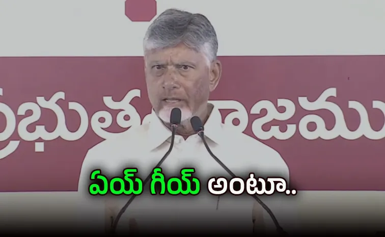 Chandrababu Angry On Woman At Banaganapalle Meeting