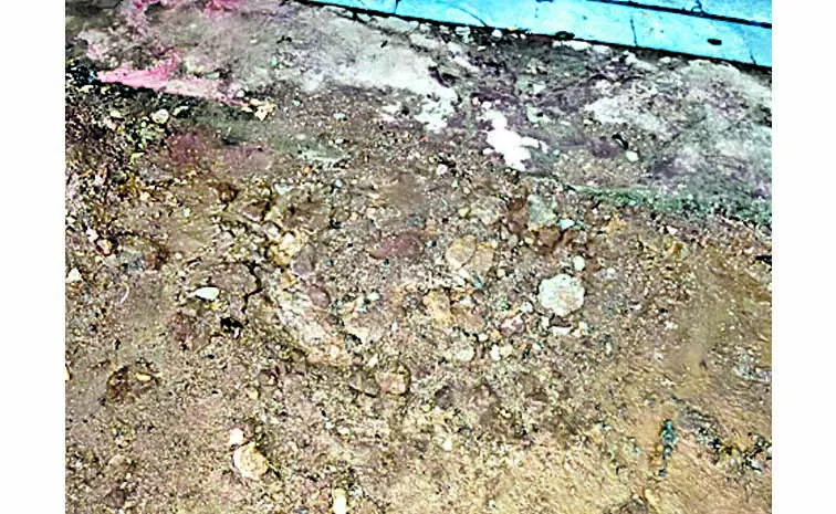 తహసీల్దార్‌ ఆఫీస్‌లో క్షుద్రపూజలు