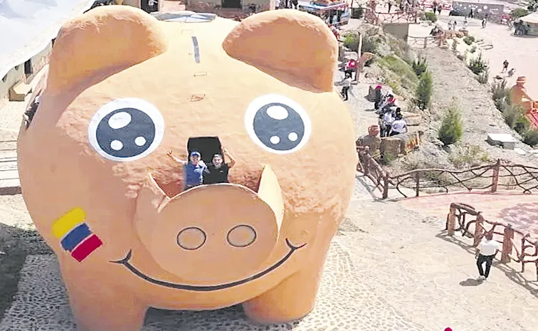 Giant piggy bank in Colombia accepts change for animal shelters