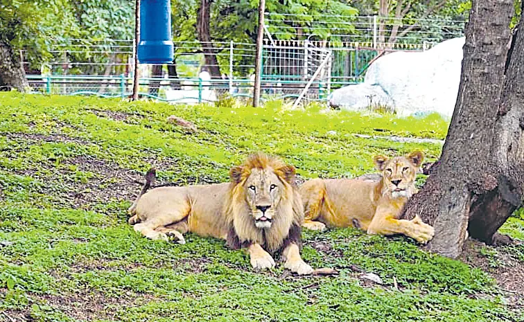 ఈ 'రారాజు'కు ఓ రోజు!