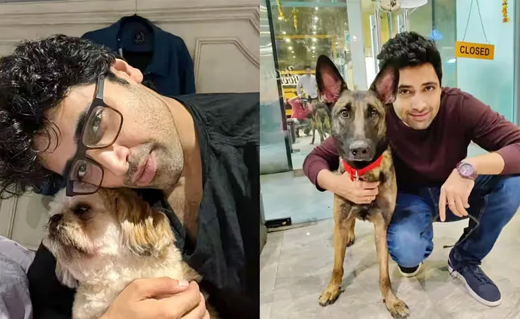 Hero Adivi Sesh Steps Up To Help Stray Animals