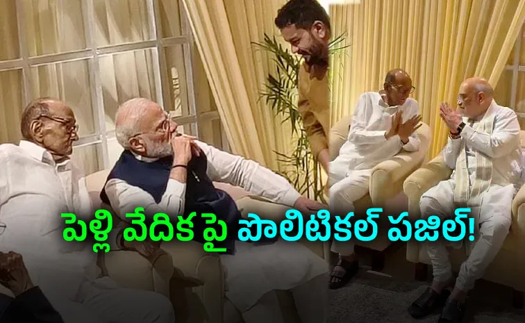 A Wedding Frame That Stirred Politics: Modi Pawar Shah Together
