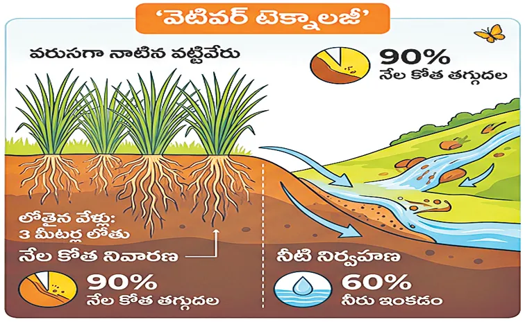 Sagubadi: Vetiver Enriches Soil