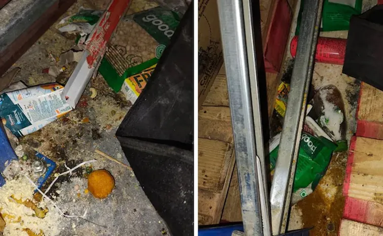 Food Safety Crackdown Want To Make State Healthier Again  Karnataka Minister 