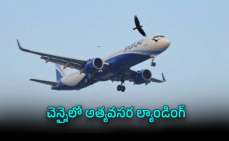 గాల్లోనే నిలిచిపోయిన ఇంజిన్‌