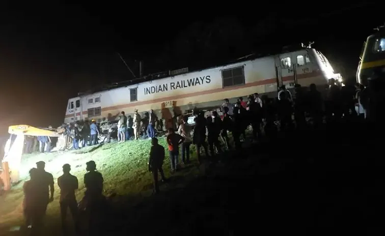 Wild Elephant and Calf Die After Being Hit by Train in Walayar