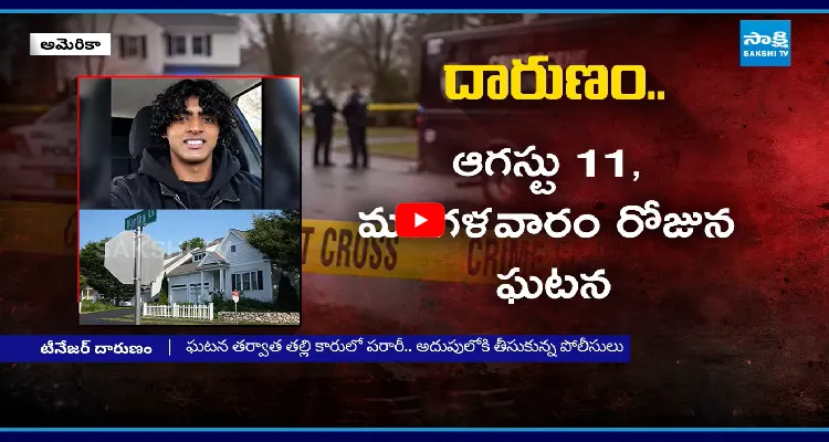 అమెరికాలో దారుణం.. తల్లి, తమ్ముడిని చంపిన భారత సంతతి టీనేజర్