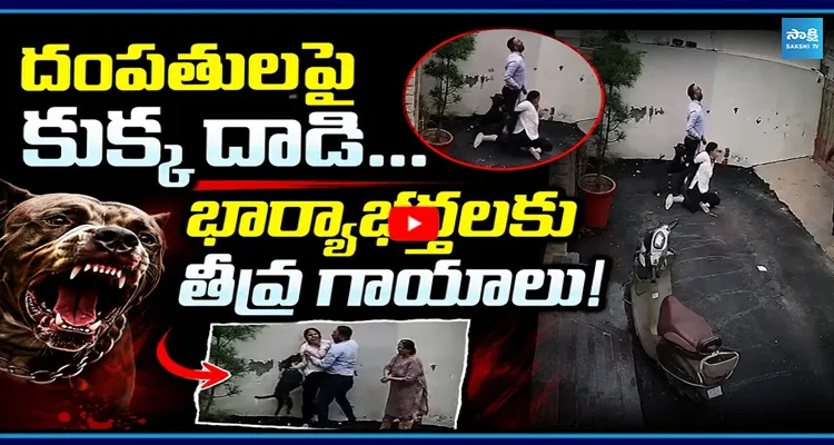 Viral Video: దంపతులపై కుక్క‌ దాడి... భార్యాభర్తలకు తీవ్ర గాయాలు వైరల్ వీడియో