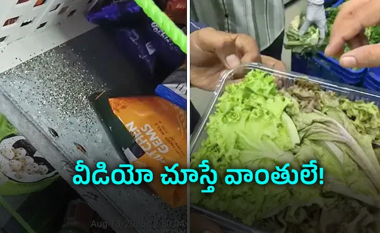 బ్లింకిట్‌, జెప్టో, ఇన్‌స్టామార్ట్‌ కాదు : బొద్దింకలు, ఎలుకలు, బల్లుల కేంద్రాలు