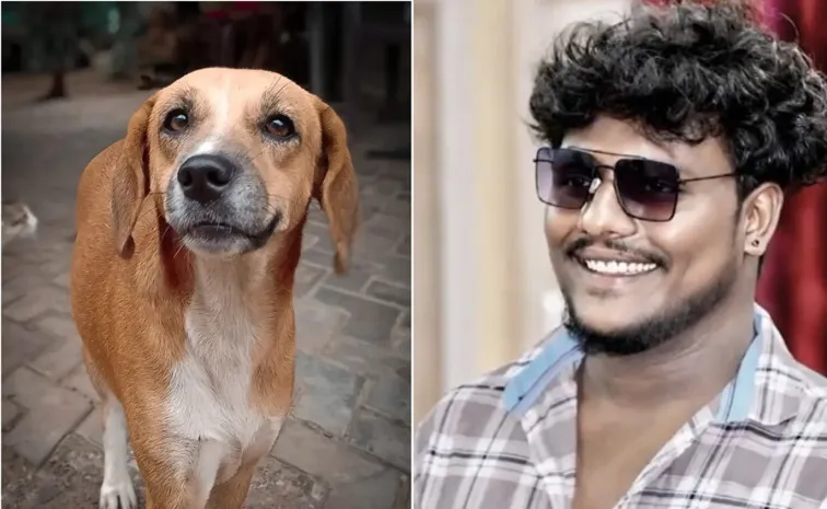 Khammam Pet Dog Incident