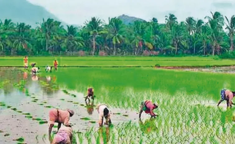 AP Extends Deadline for Yield-Based Crop Insurance