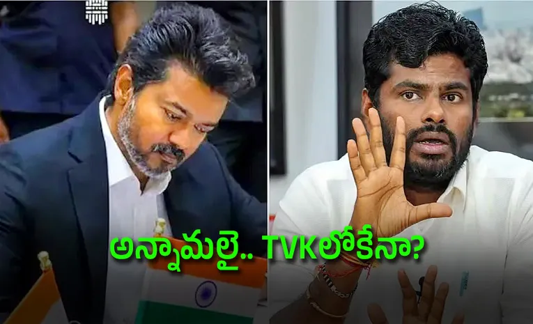 సీఎం విజయ్‌కు జైకొట్టిన అన్నామలై.. ఇక TVKలోకేనా?