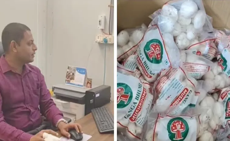 BTech graduate left IT after 14 years Now earns Rs 10 lakh a month as a farmer