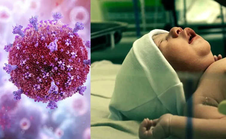 New 3 Part Therapy Could Eliminate HIV in Newborns Primate Study Success