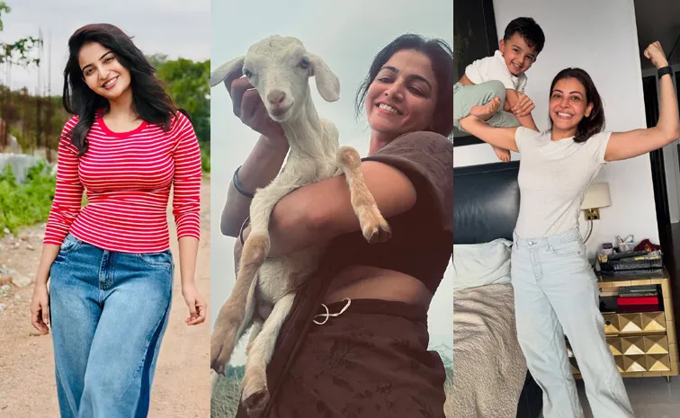 Wamiqa Gabbi And Kajal Aggarwal Latest News