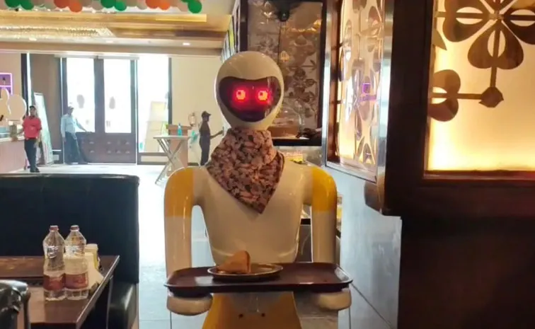 Will Waiter Jobs Also Be Replaced by Robots
