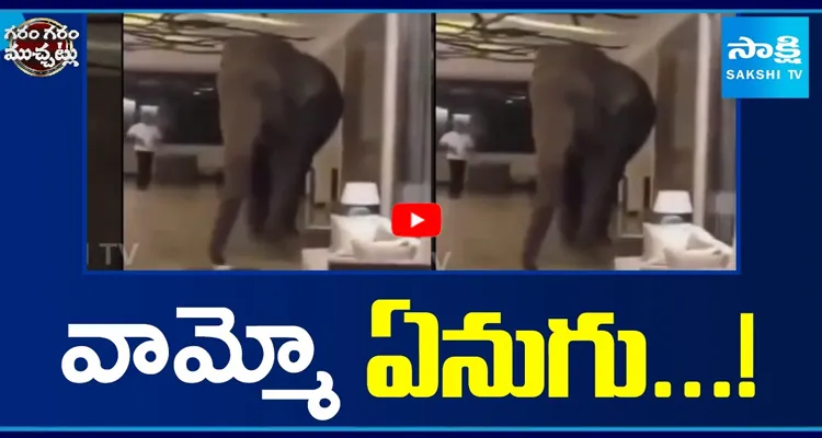 వామ్మో ఏనుగు..! టూరిస్టులకు దిమ్మతిరిగే షాక్