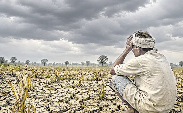 Telangana August to September rainfall likely to be below average says Met department