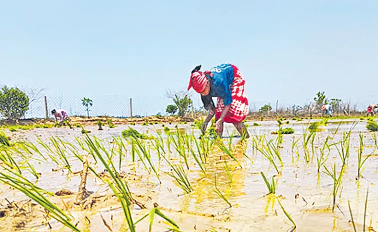 Irrigation Water for 7 lakh acres in Telangana