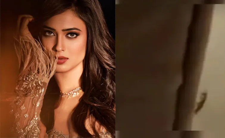 Shweta Tiwari Claims Cockroach Found In Instamart Cold Drinks Order Tags Tukaram Mundhe