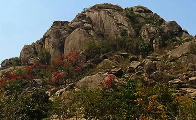 Earliest Evidence of Life Indian Geologists Unearth 3.5 Billion Year-Old Microbial Fossils in Jharkhand