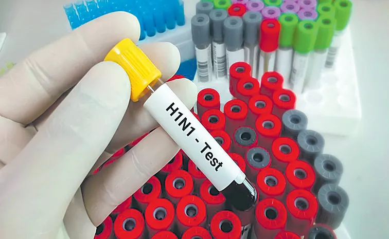 Delhi is facing a sharp monsoon surge of H1N1 logging 1,777 cases