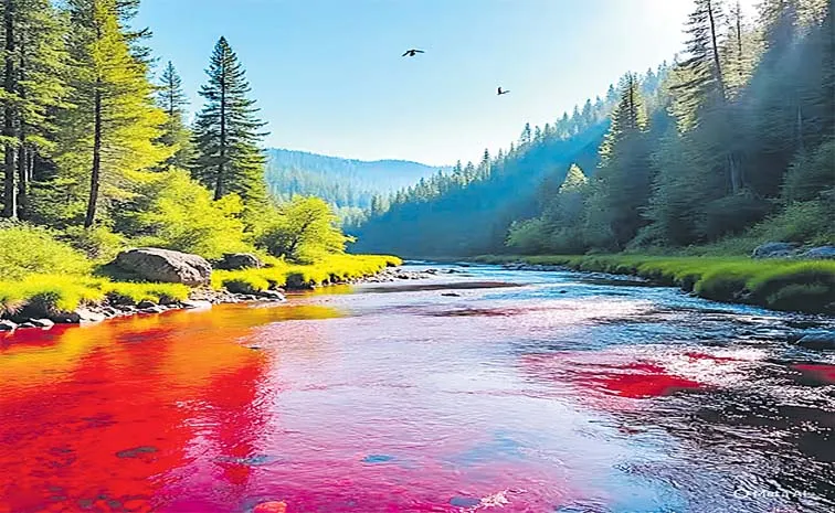 Brahmaputra Red River India Amazing Facts