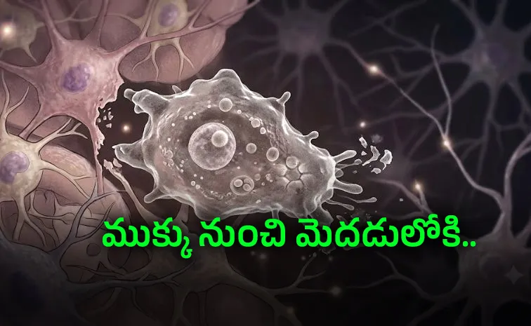 Girl contracted brain eating amoeba 
