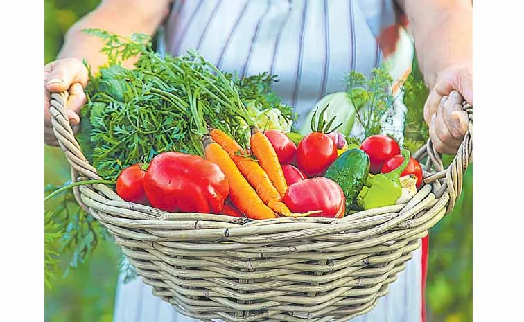 Vegetable cultivation area decreasing in the state