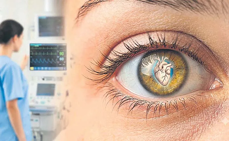 Eyes Teveal Heart Health Retina AI Cardiovascular Disease